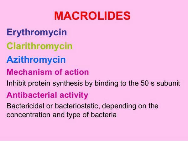 Macrolides